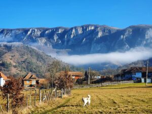 Traseul tematic Pietrele Vorbitoare